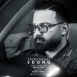 دانلود آهنگ آروین رجایی شیش دنگ